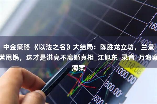 中金策略 《以法之名》大结局：陈胜龙立功，兰景茗甩锅，这才是洪亮不离婚真相_江旭东_录音_万海案