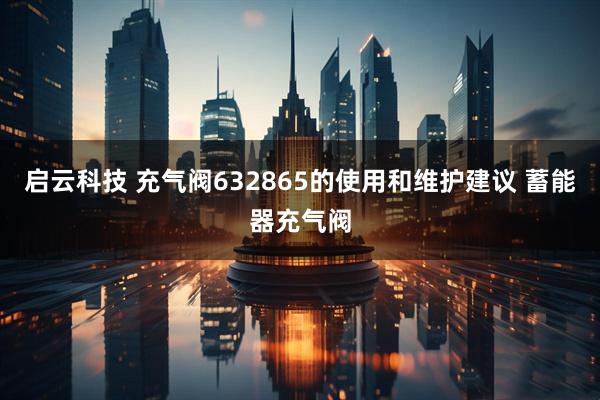 启云科技 充气阀632865的使用和维护建议 蓄能器充气阀