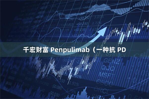 千宏财富 Penpulimab（一种抗 PD