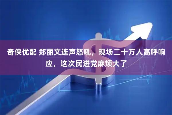 奇侠优配 郑丽文连声怒吼，现场二十万人高呼响应，这次民进党麻烦大了